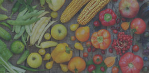 Fresh Food